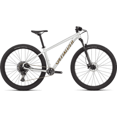 Bicicleta Mtb SPECIALIZED Rockhopper Expert 29 - Gloss Silver Dust