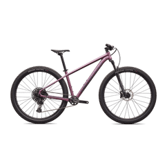Bicicleta Mtb SPECIALIZED Rockhopper Expert 29 - Satin Quartz Metallic