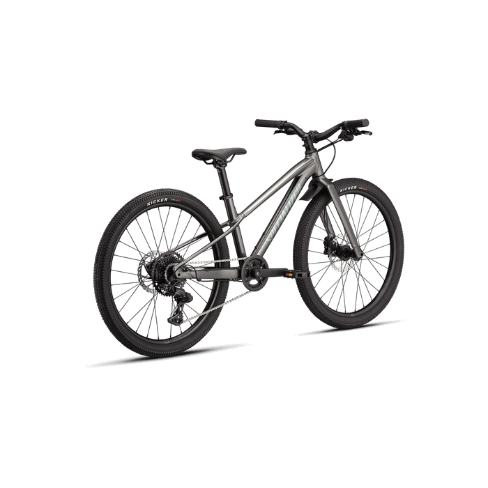 Bicicleta Copii SPECIALIZED Riprock 24 - Gloss Smk/Fjord Metallic